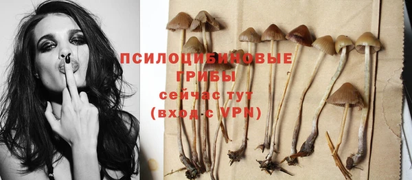 ALPHA PVP Алексеевка