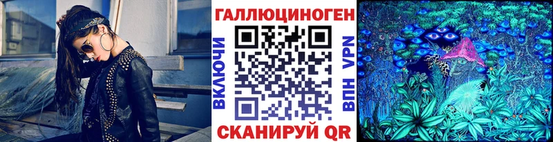купить  цена  Берёзовский  Галлюциногенные грибы MAGIC MUSHROOMS 